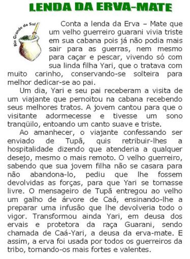 Além dos benefícios, o chá mate possui um importante valor cultural para os brasileiros. Imagem: Passei Direto
