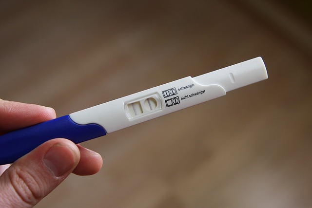 Como funciona o teste de gravidez? Entenda! Fonte: Pixabay