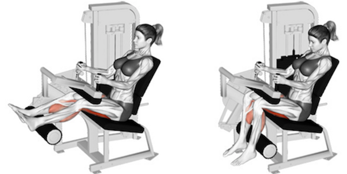 Pleno Corpo: Quais músculos se trabalham na cadeira extensora