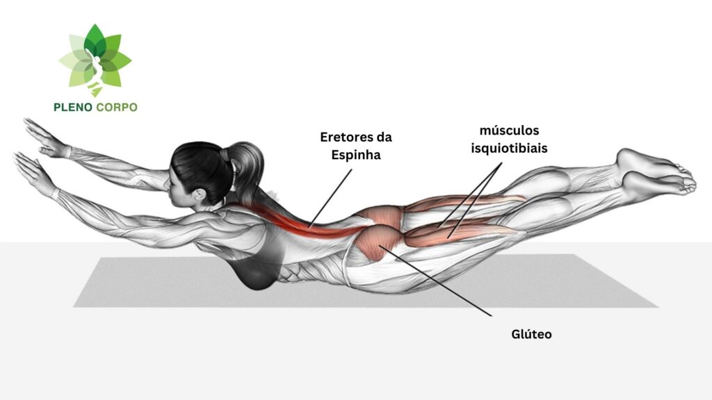 O exercício superman é ótimo para fortalecer a lombar.
