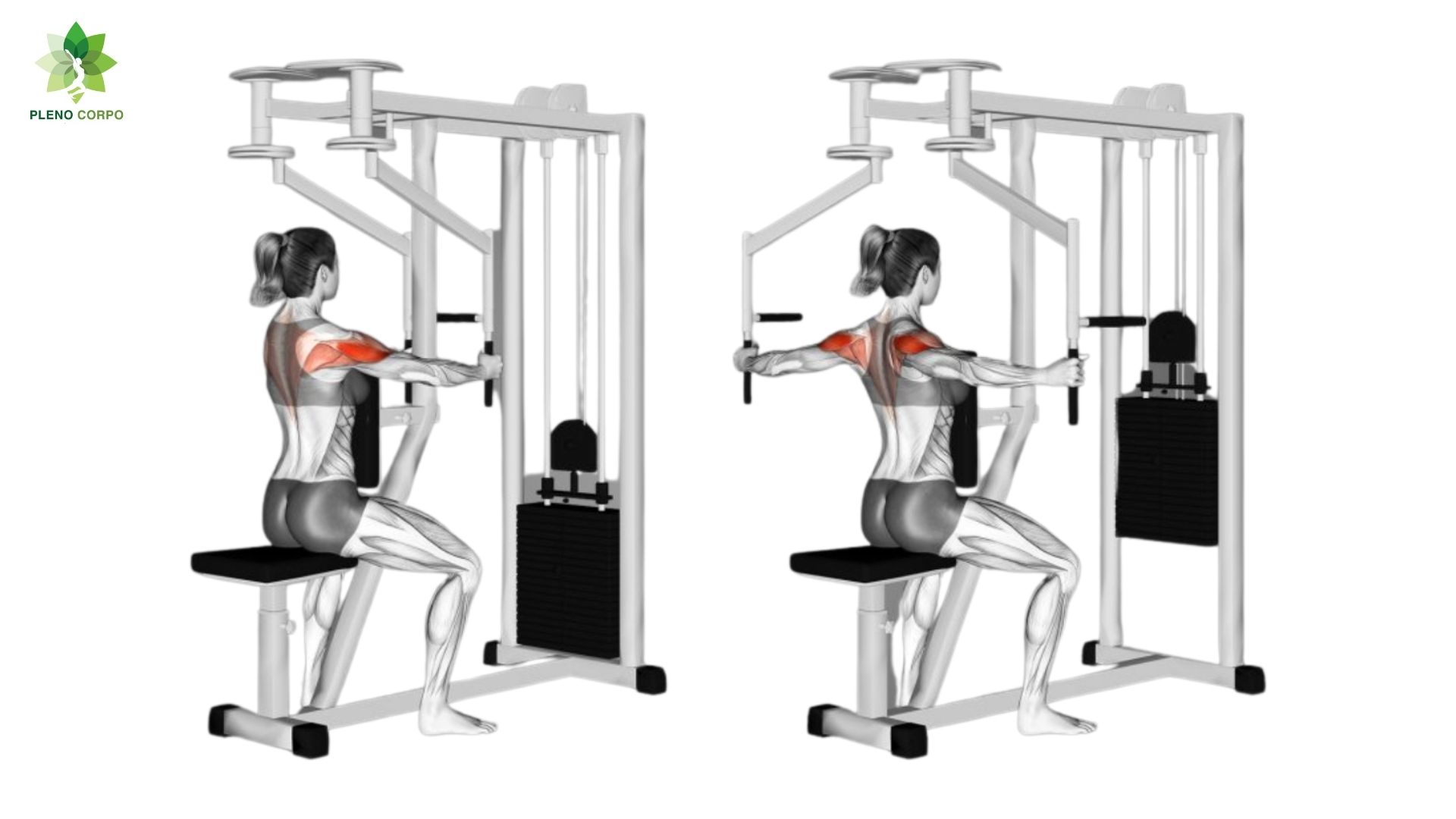 Pleno Corpo : Crucifixo Invertido na Máquina (Reverse Pec Deck)