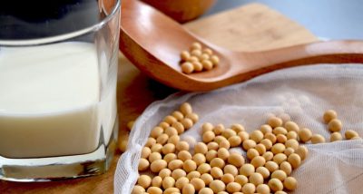 Pleno Corpo: Proteína de soja