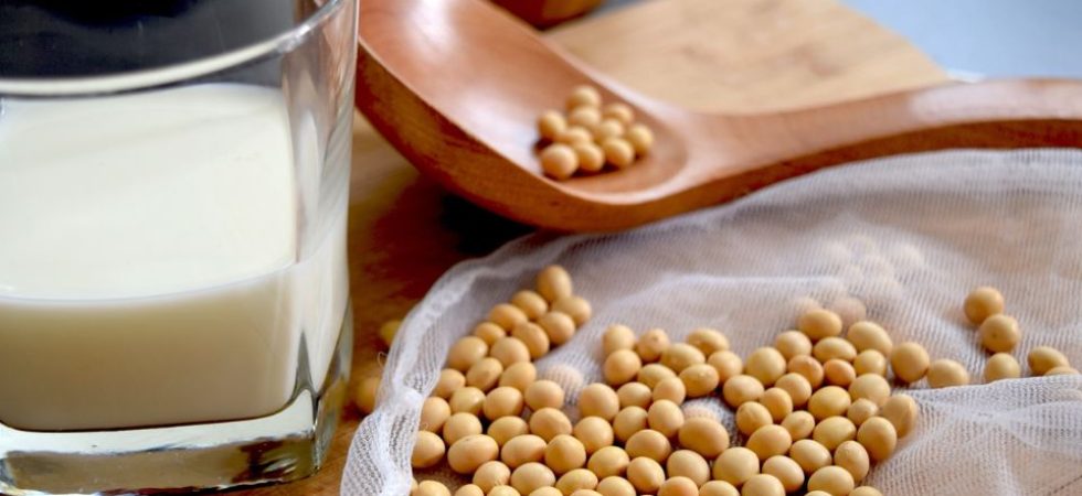 Pleno Corpo: Proteína de soja