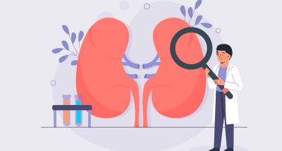 O nefrologista é o médico que cuida da saúde dos seus rins. Imagem: Freepik