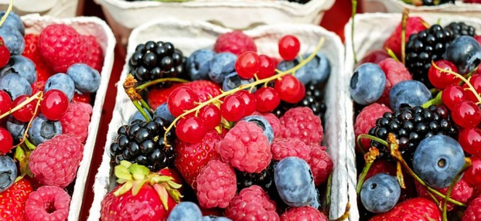 frutose engorda