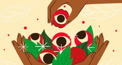 guarana