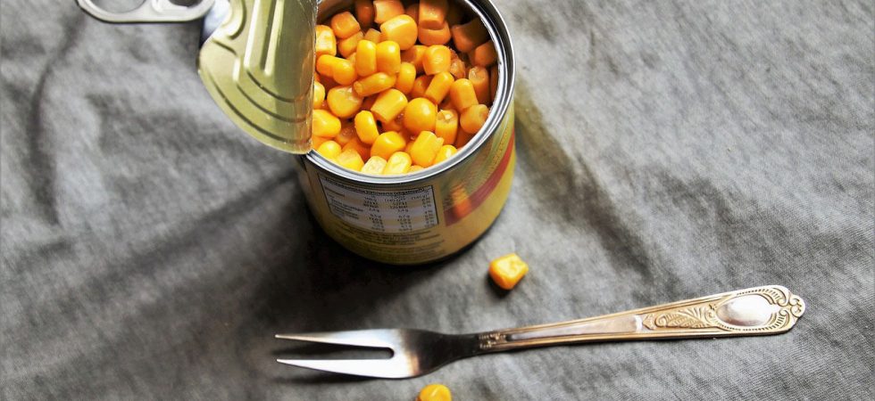 o-que-e_alimento-processado