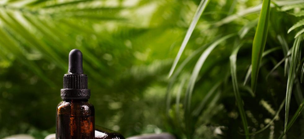 propolis_verde