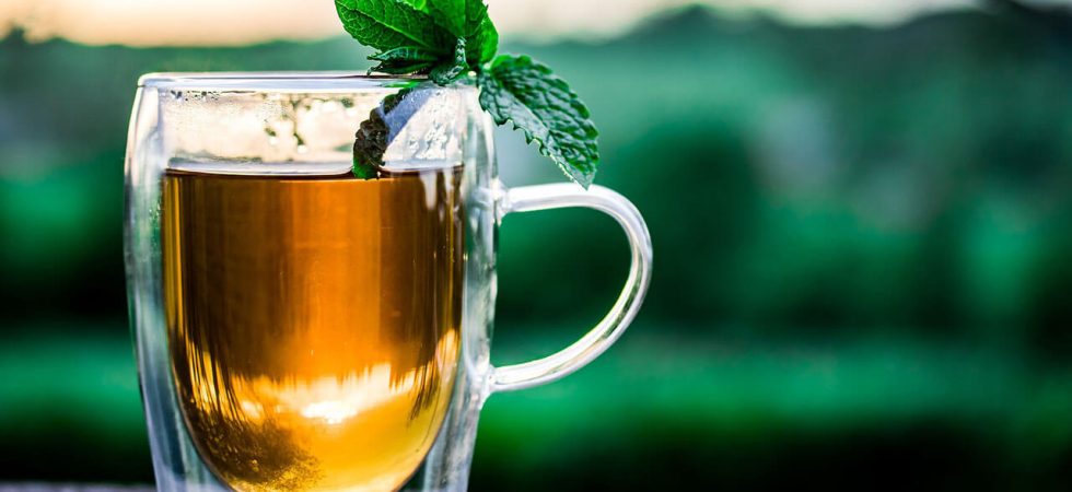 quais-os_beneficios-do-cha-de-hortela-destaque