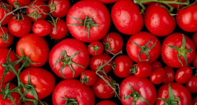 tipos-de_tomate1