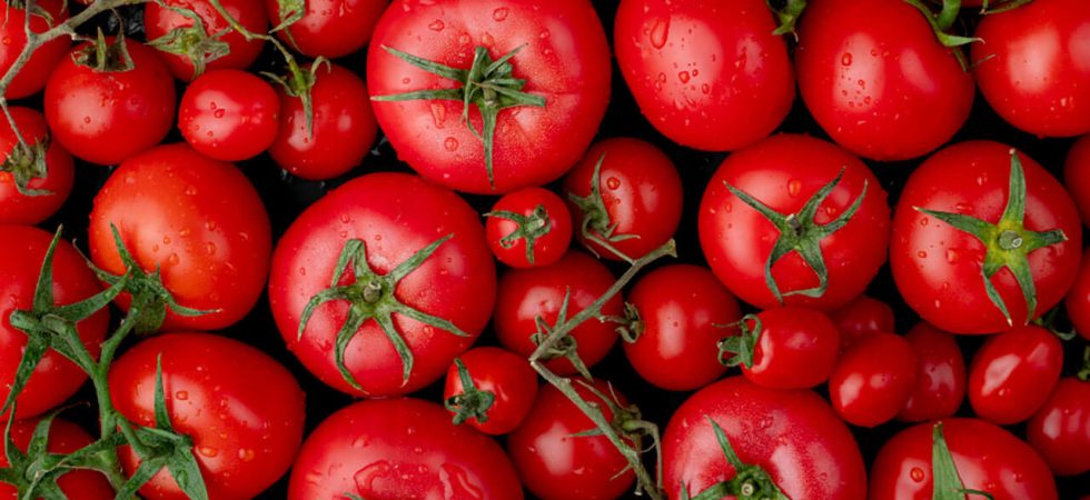 tipos-de_tomate1