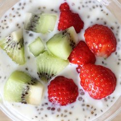 Melhor iogurte para dieta